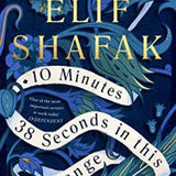 10 Minutes 38 Seconds in this Strange World book by Elif Shafak