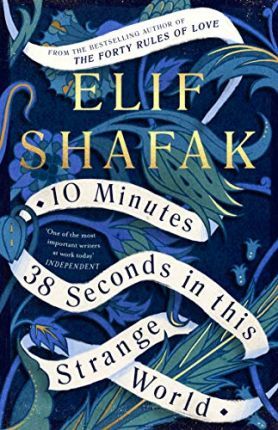 10 Minutes 38 Seconds in this Strange World book by Elif Shafak