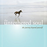 The Untethered Soul: The Journey Beyond Yourself by Michael A. Singer