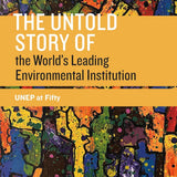 The Untold Story of the World's Leading Environmental Institution - Maria Ivanova