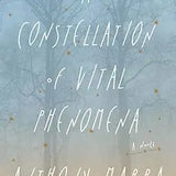 A Constellation of Vital Phenomena by Anthony Marra