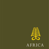 Africa The Politics of Suffering and Smiling book by Patrick Chabal