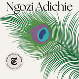 Americanah book by Chimamanda Ngozi Adichie