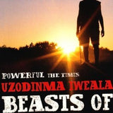 Beasts of No Nation book by Uzodinma Iweala
