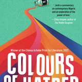 Colours of Hatred book by Obinna Udenwe
