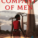 In the company of men book by Veronique Tadjo