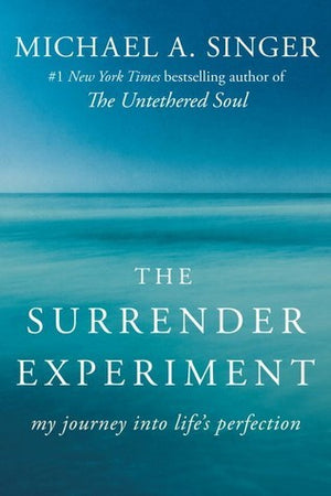 The Surrender Experiment - Michael A. Singer