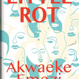Little Rot book by Akwaeke Emezi