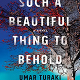 Such A Beautiful Thing To Behold book by Umar Turaki