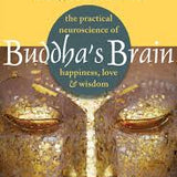 The Buddha's Brain book by Rick Hanson