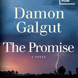 The Promise book by Damon Galgut