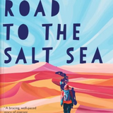 The Road to the Salt Sea book by Samuel Kolawole
