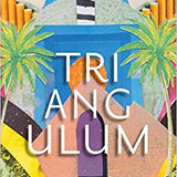 Triangulum book by Masande Ntshanga