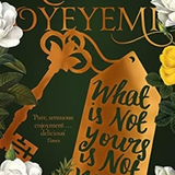 What is Not Yours is Not Yours by Helen Oyeyemi