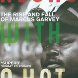 Negro with a Hat: The Rise and Fall of Marcus Garvey – Colin Grant