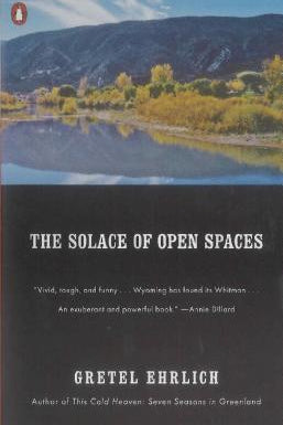 book in nairobi the solace of open spaces